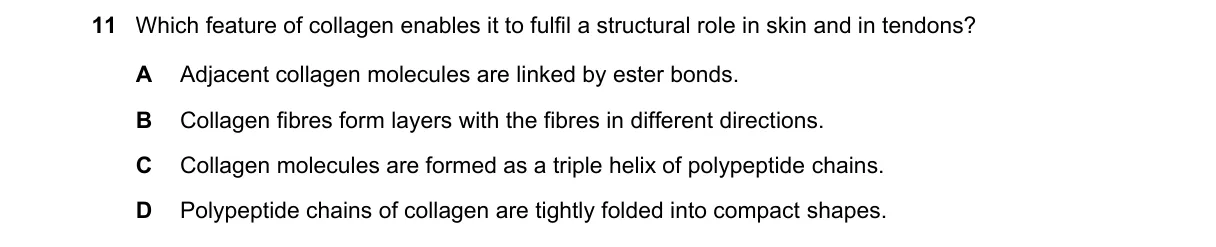Question 11 from 9700/11/O/N/21