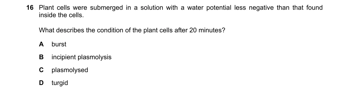 Question 16 from 9700/11/O/N/21