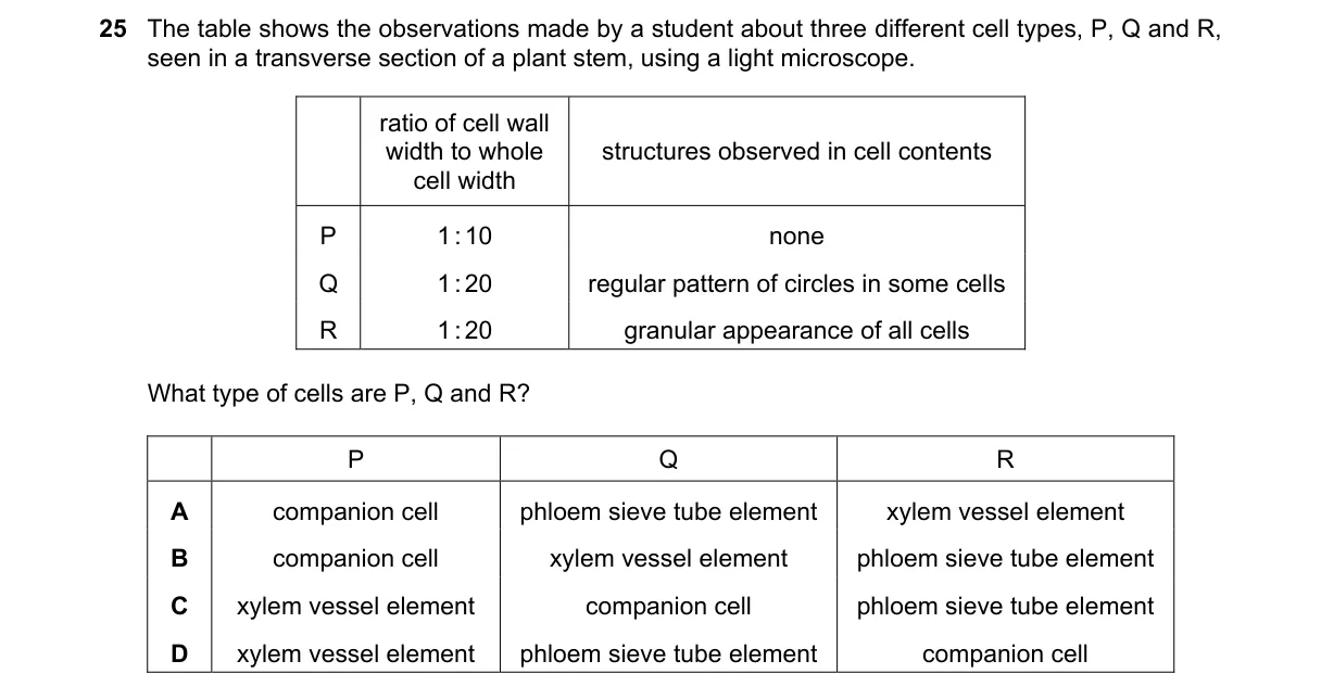 Question 25 from 9700/11/O/N/21