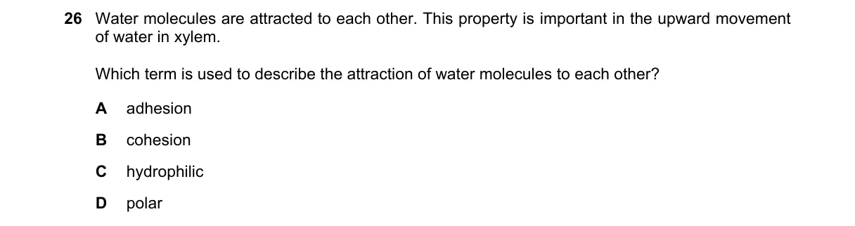 Question 26 from 9700/11/O/N/21