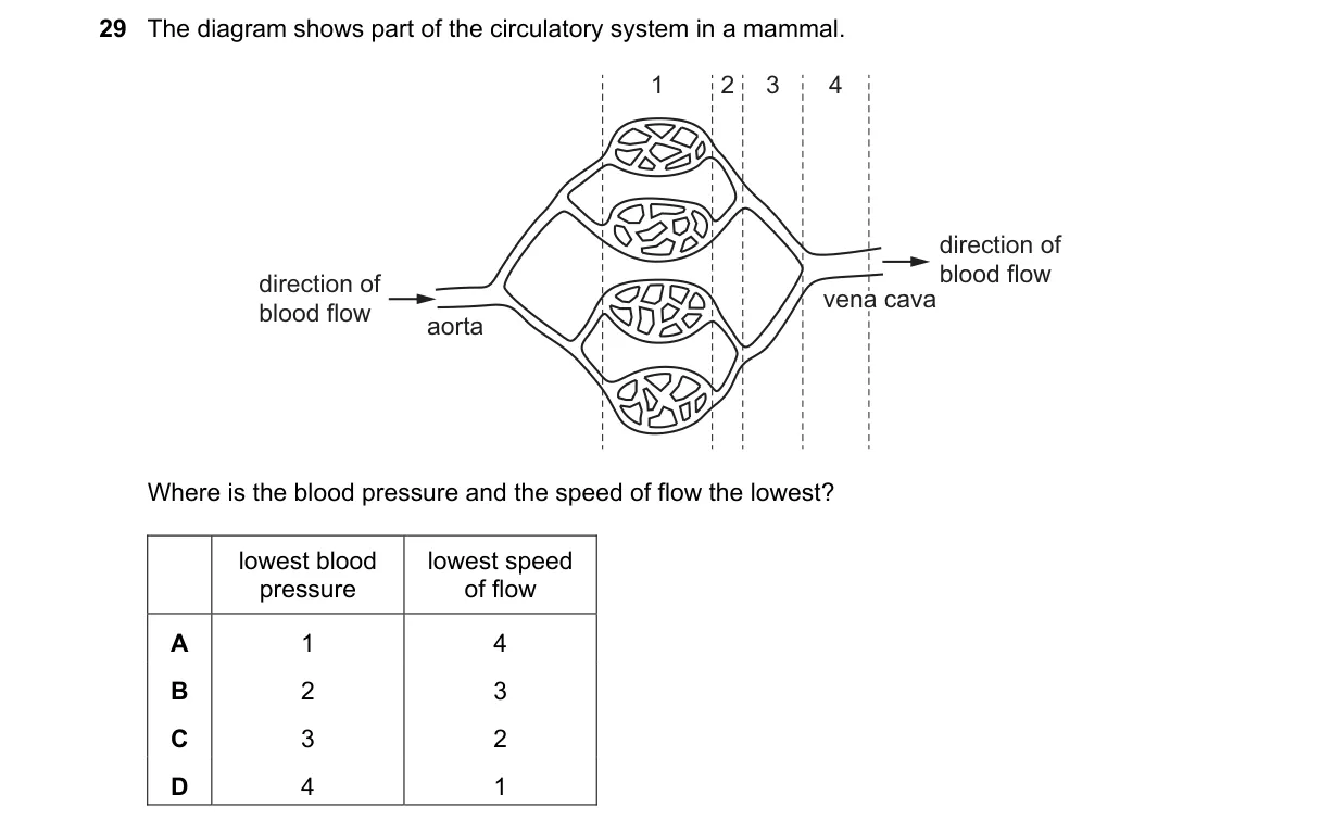 Question 29 from 9700/11/O/N/21