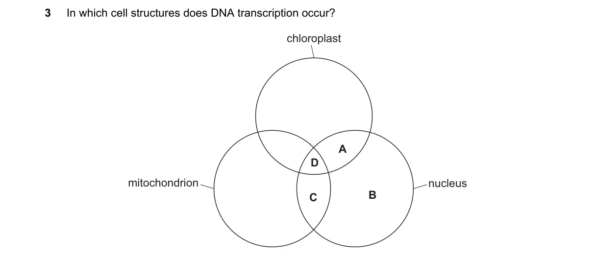 Question 3 from 9700/11/O/N/21
