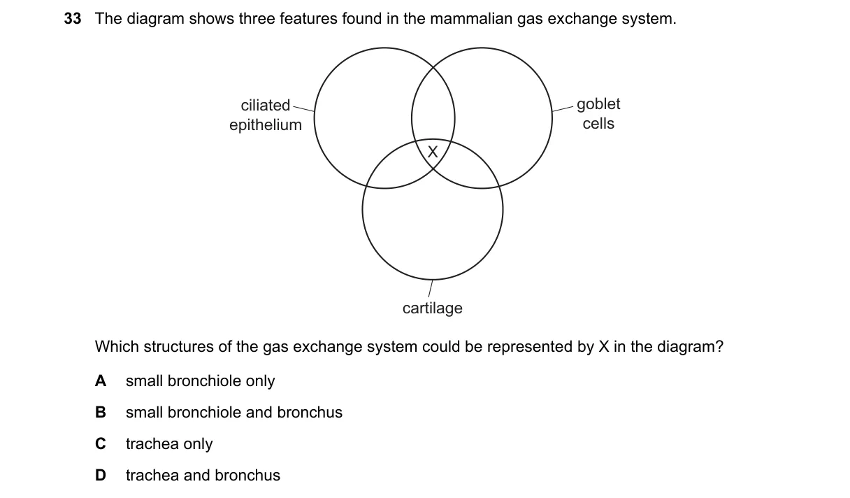 Question 33 from 9700/11/O/N/21