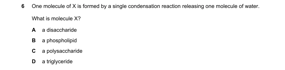 Question 6 from 9700/11/O/N/21