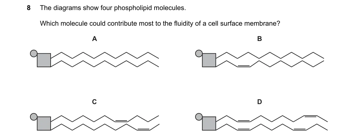 Question 8 from 9700/11/O/N/21