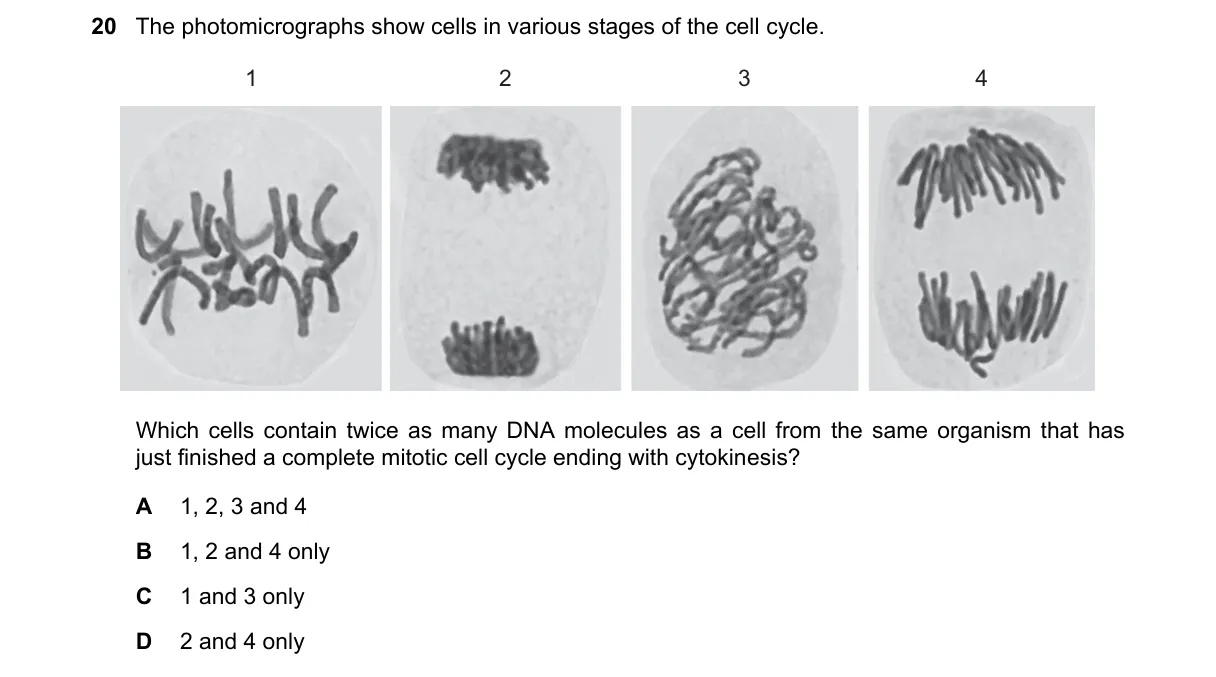 Question 20 from 9700/12/O/N/21