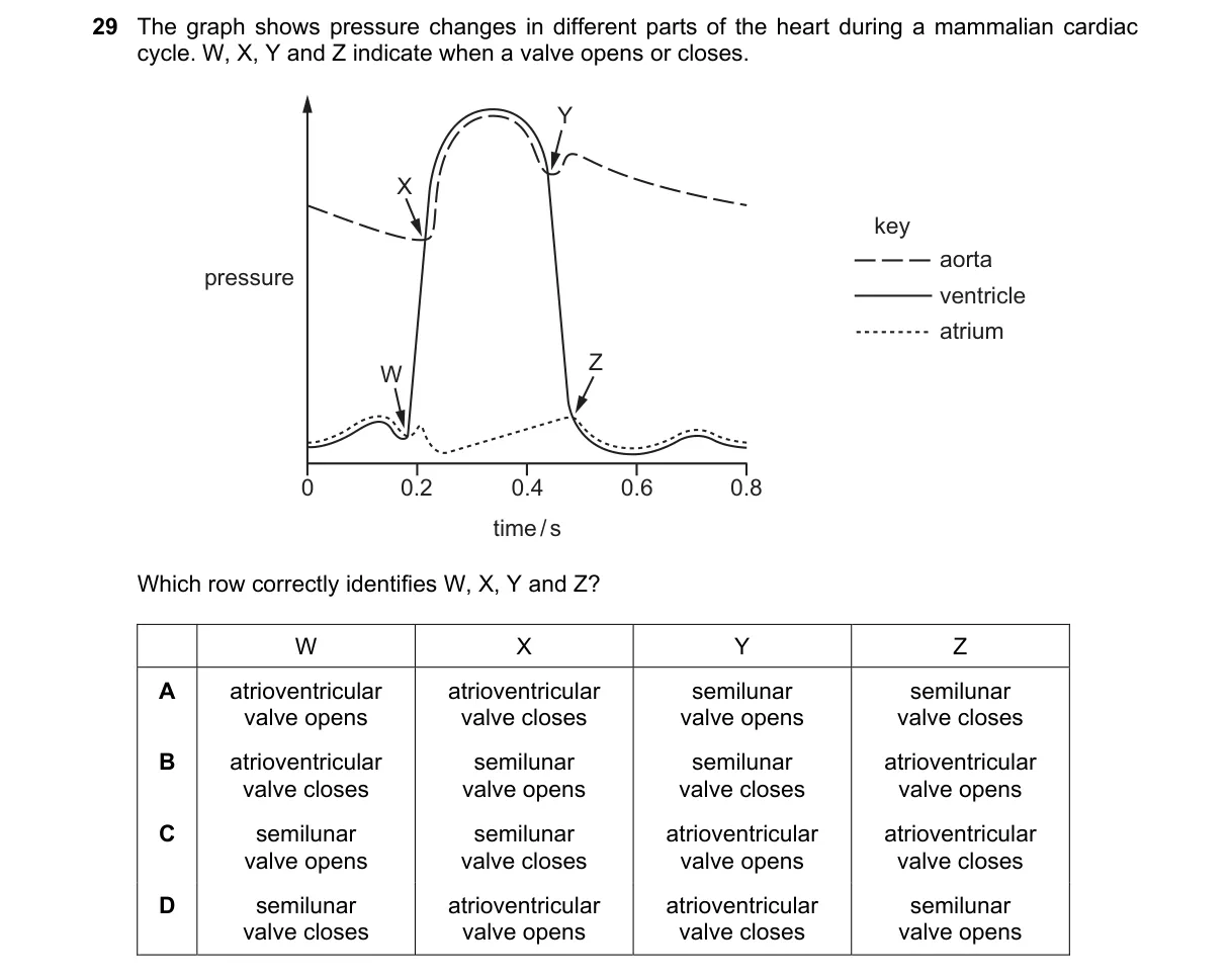 Question 29 from 9700/12/O/N/21
