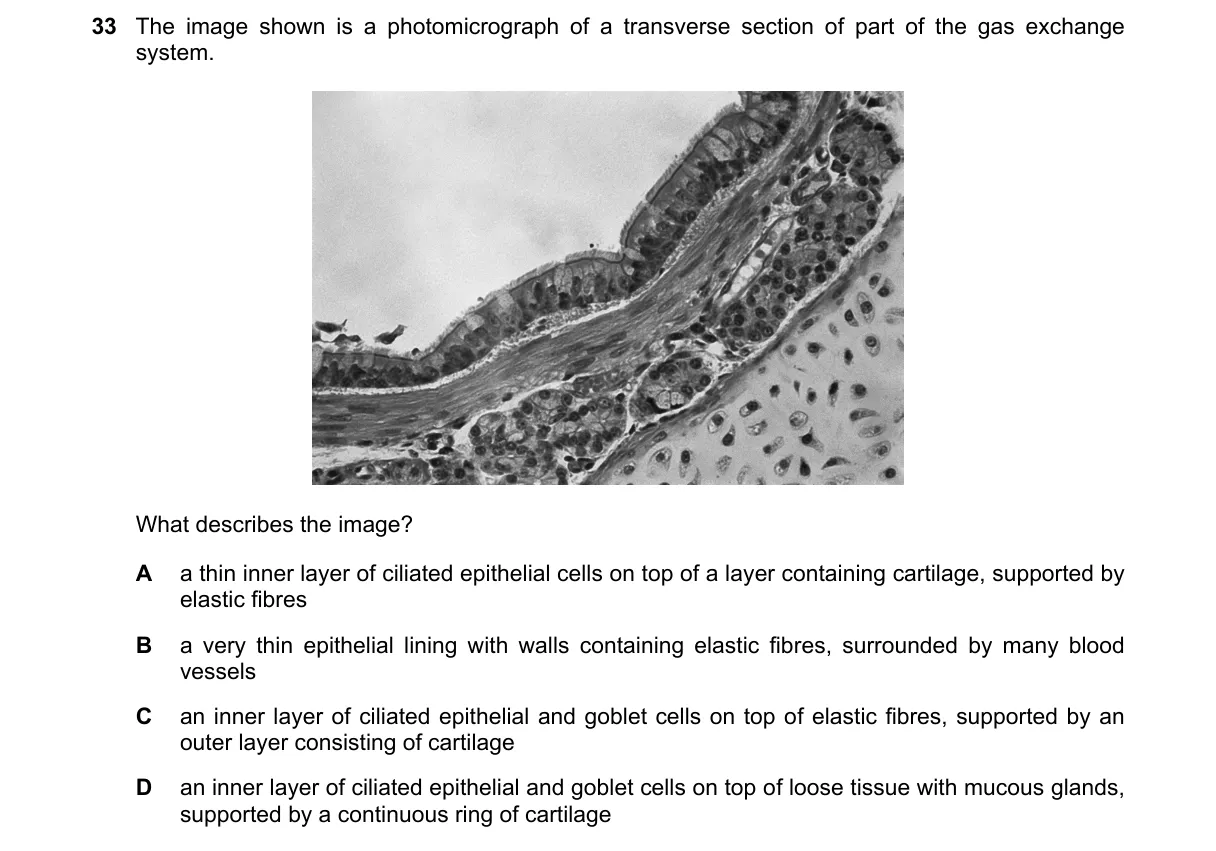 Question 33 from 9700/12/O/N/21