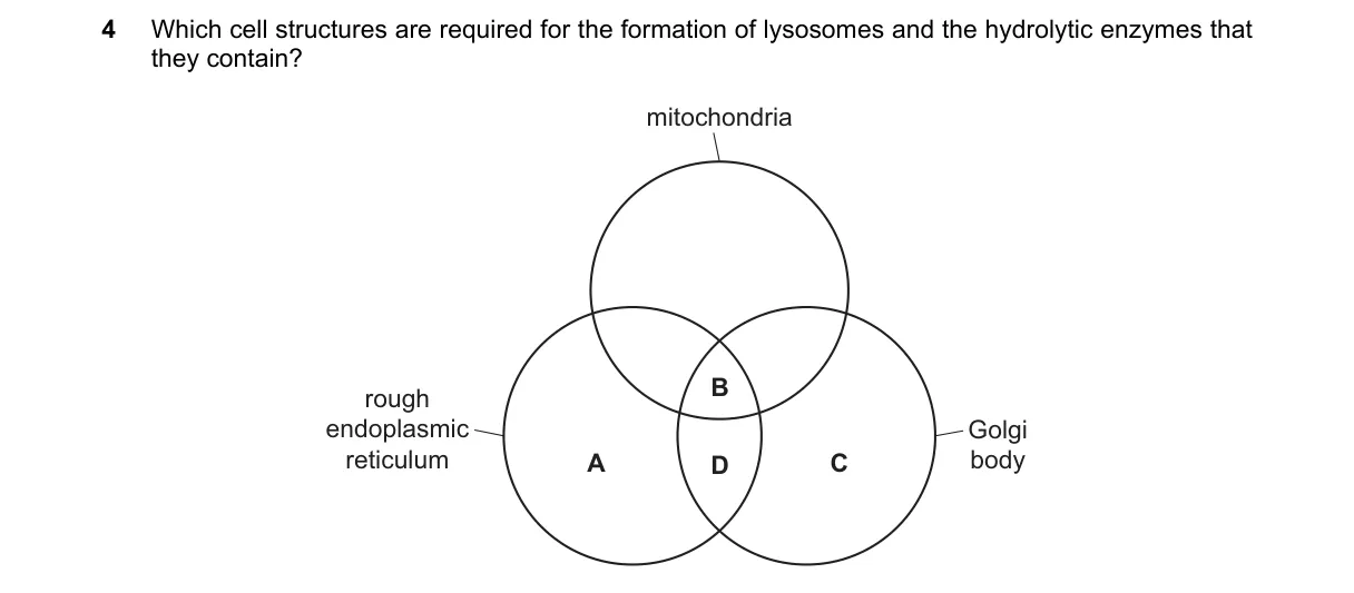 Question 4 from 9700/12/O/N/21