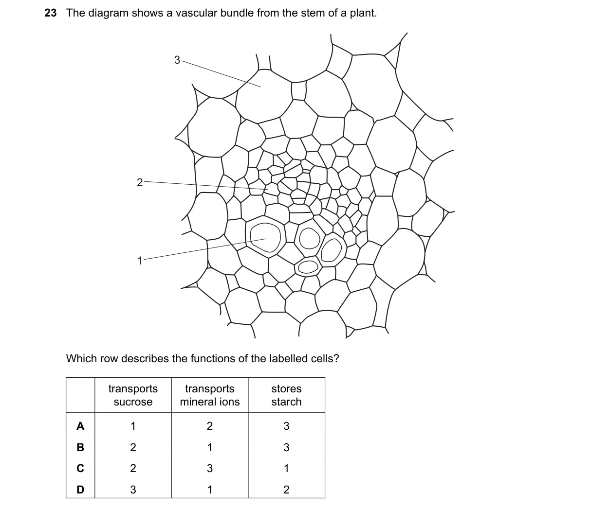 Question 23 from 9700/13/O/N/21