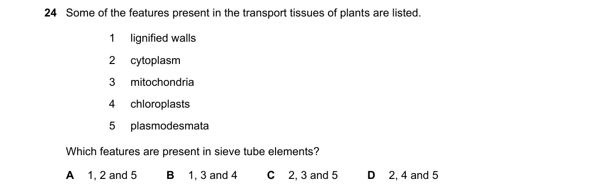 Question 24 from 9700/13/O/N/21