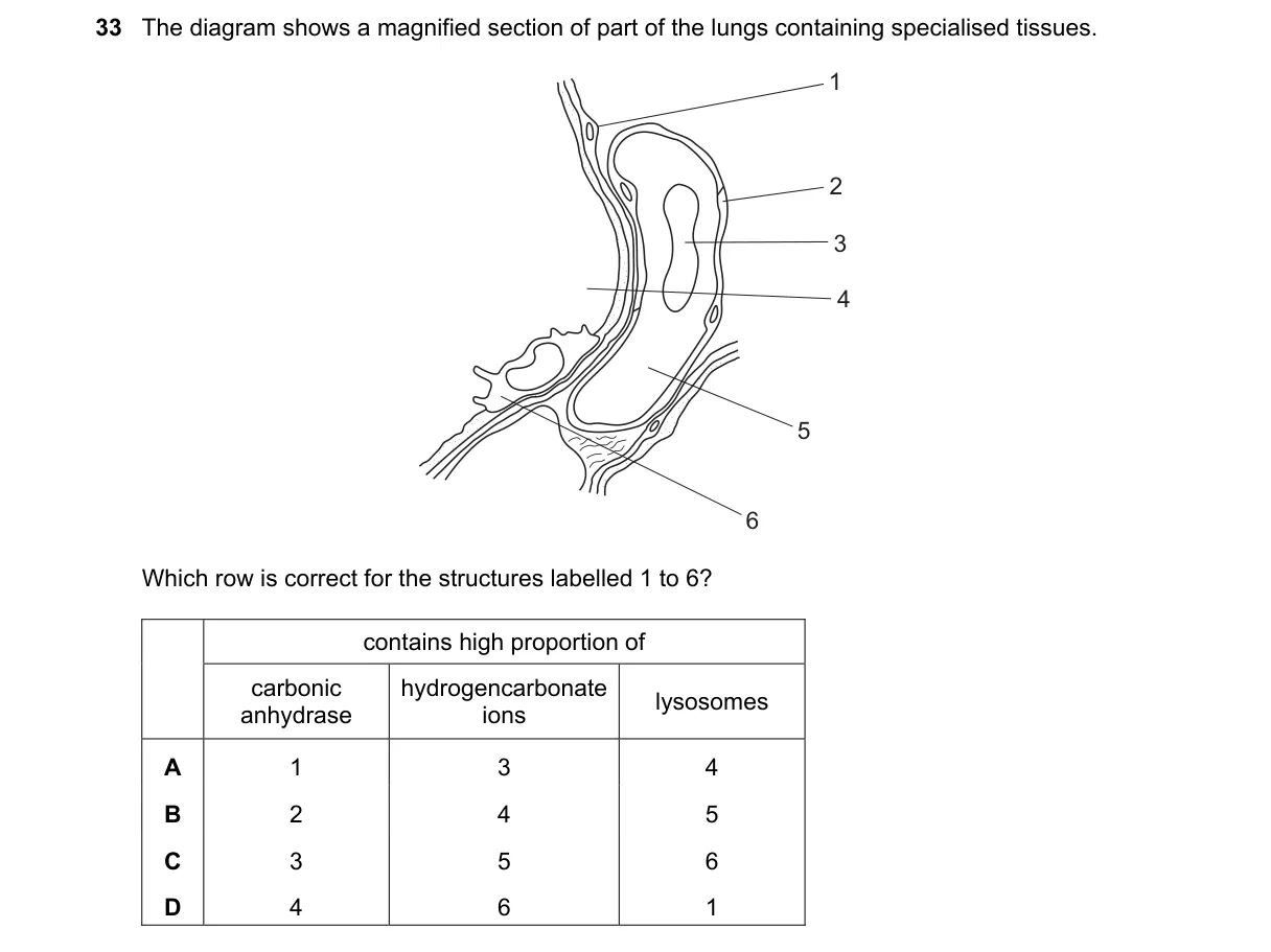 Question 33 from 9700/13/O/N/21