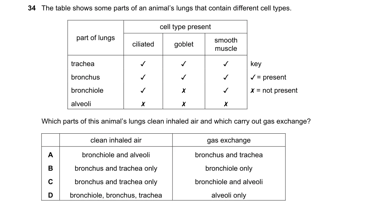 Question 34 from 9700/13/O/N/21