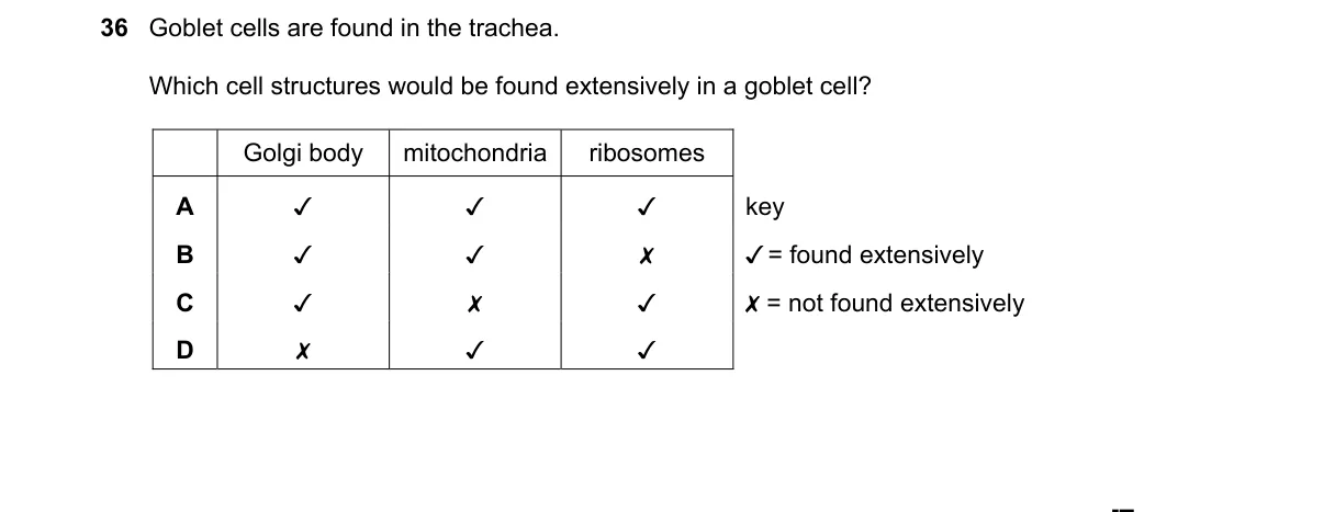 Question 36 from 9700/13/O/N/21