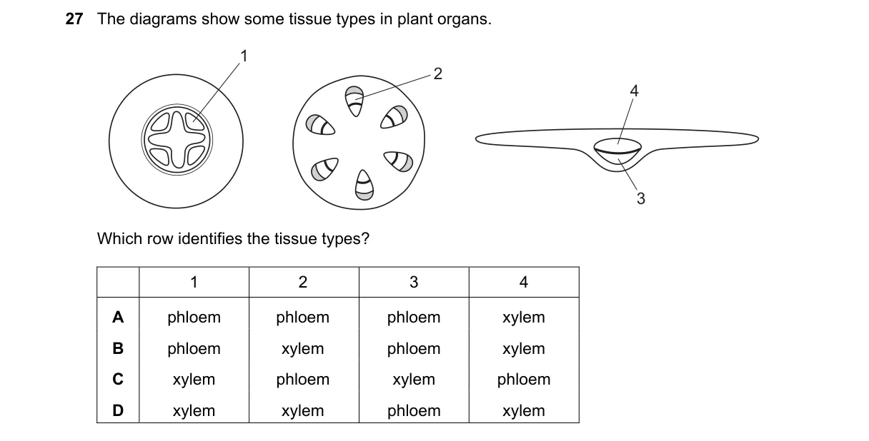 Question 27 from 9700/11/O/N/22