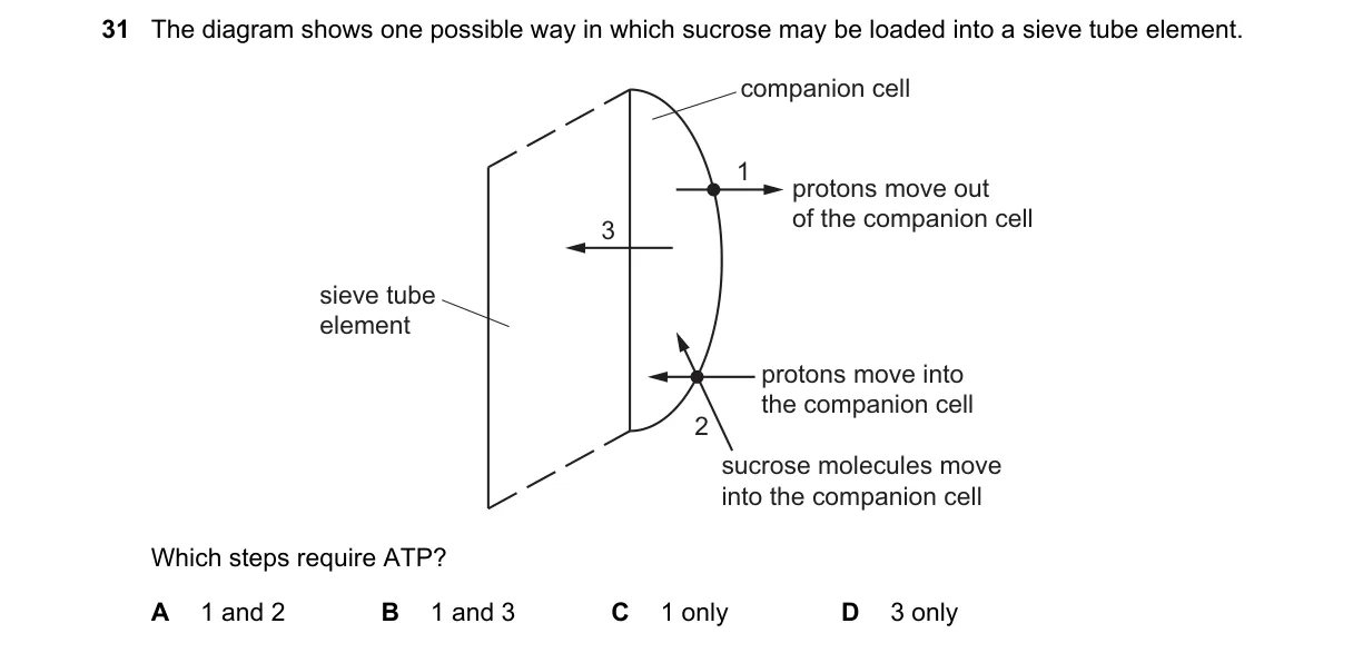 Question 31 from 9700/11/O/N/22