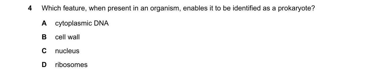 Question 4 from 9700/11/O/N/22