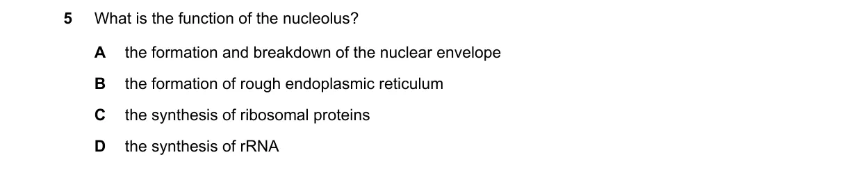 Question 5 from 9700/11/O/N/22