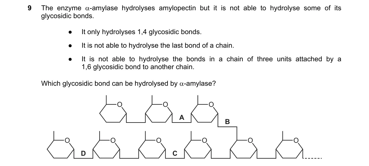 Question 9 from 9700/11/O/N/22