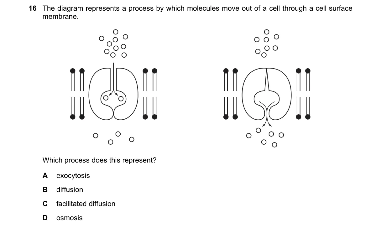 Question 16 from 9700/12/O/N/22