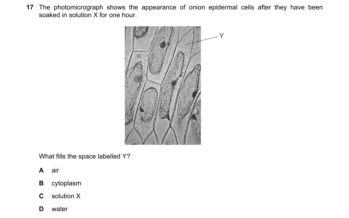 Question 17 from 9700/12/O/N/22