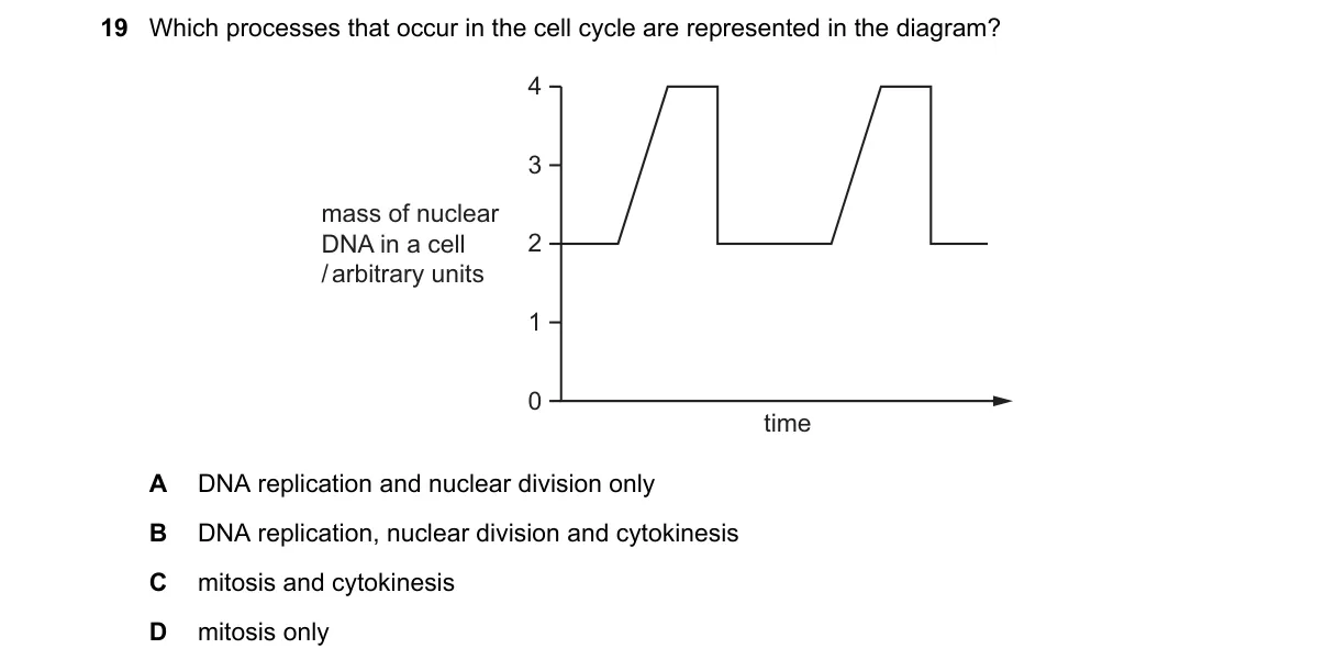 Question 19 from 9700/12/O/N/22