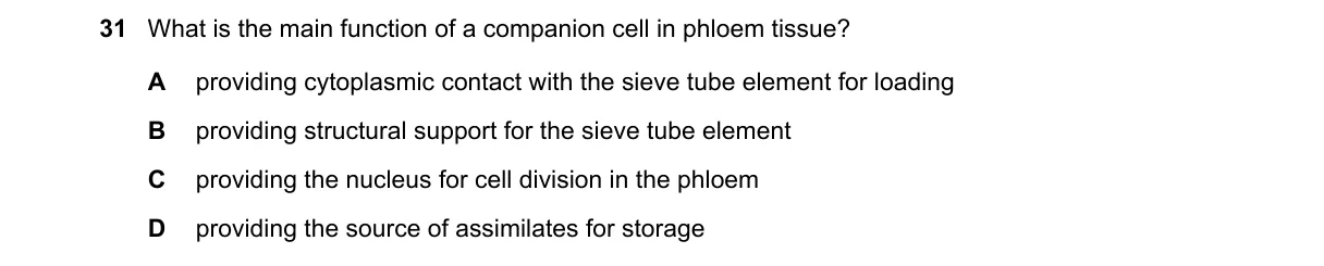 Question 31 from 9700/12/O/N/22