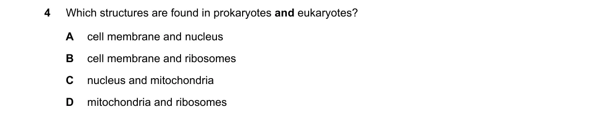 Question 4 from 9700/12/O/N/22