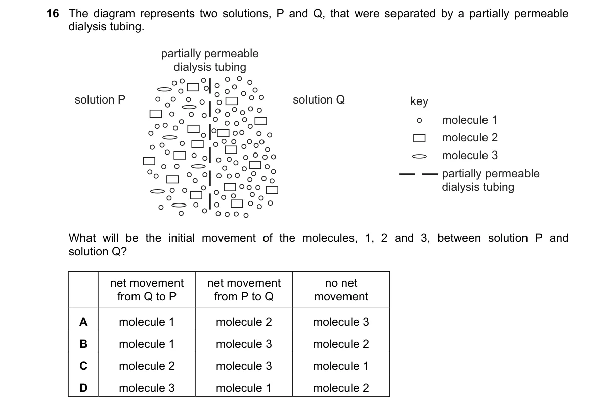 Question 16 from 9700/13/O/N/22