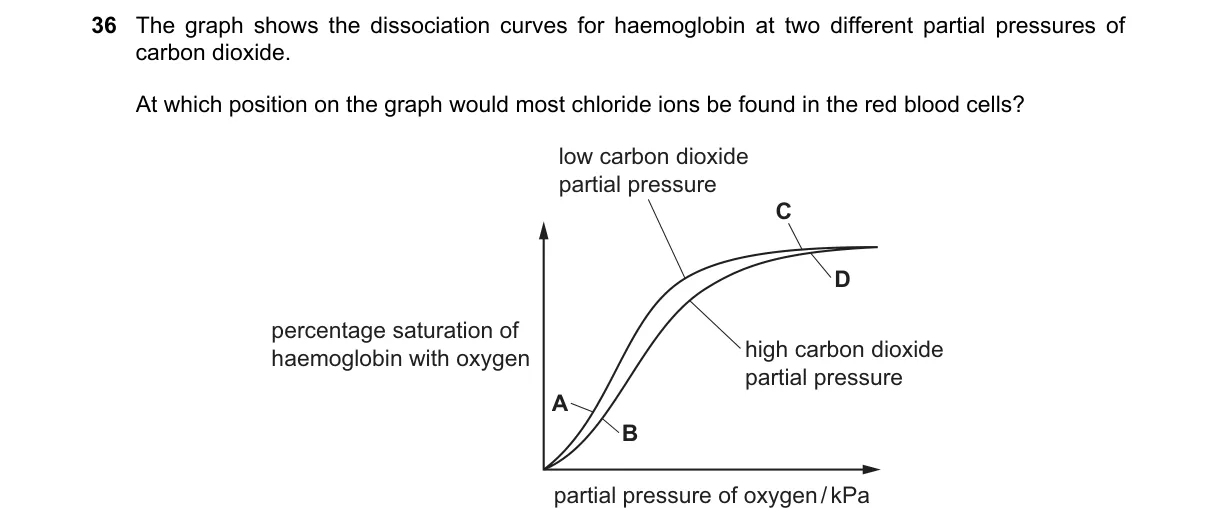 Question 36 from 9700/13/O/N/22