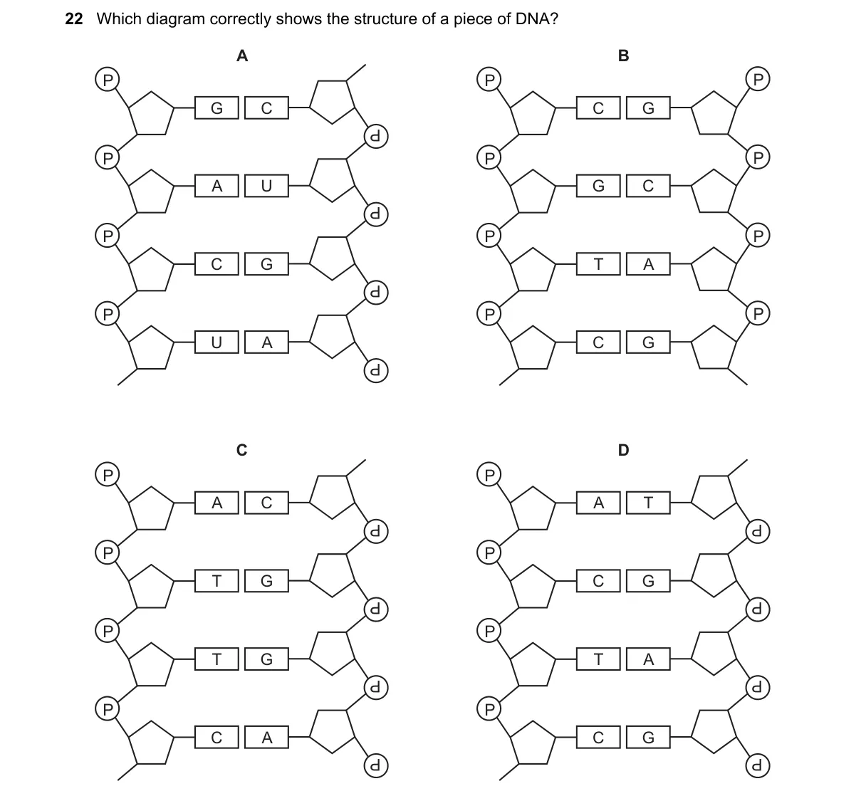Question 22 from 9700/11/O/N/23
