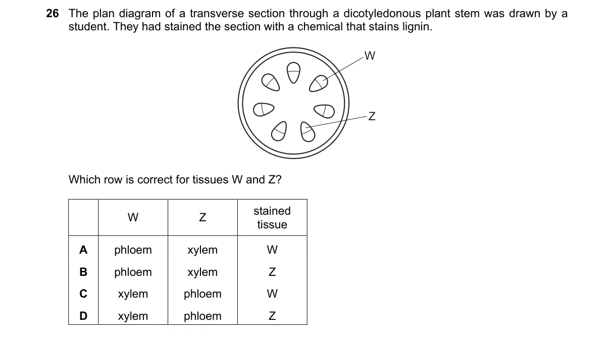 Question 26 from 9700/11/O/N/23