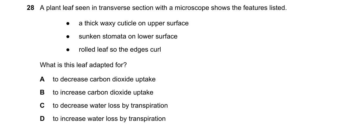 Question 28 from 9700/11/O/N/23