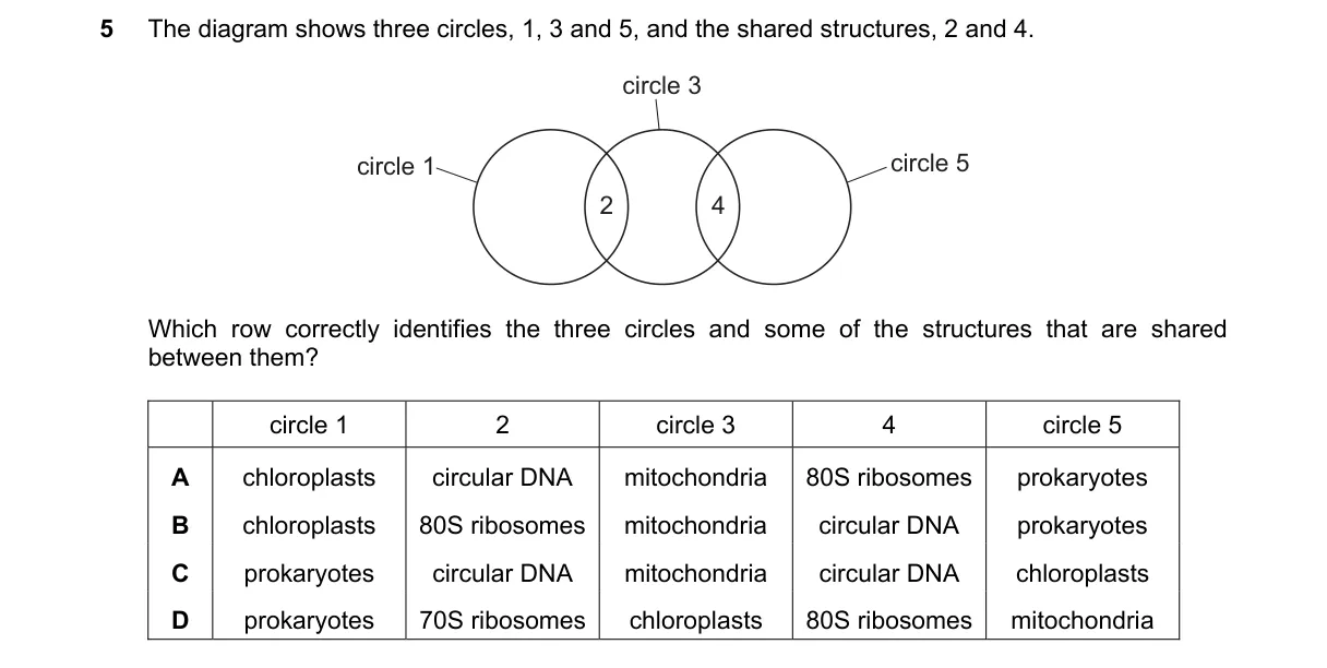 Question 5 from 9700/11/O/N/23