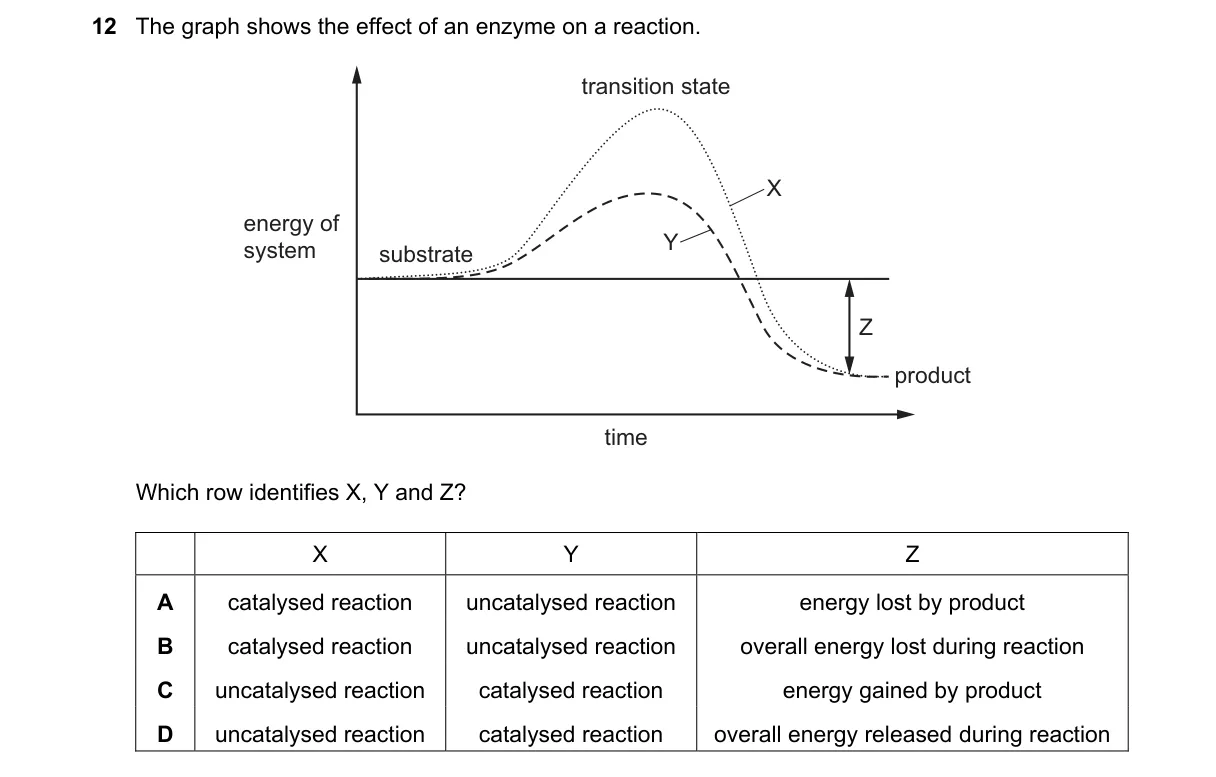 Question 12 from 9700/12/O/N/23