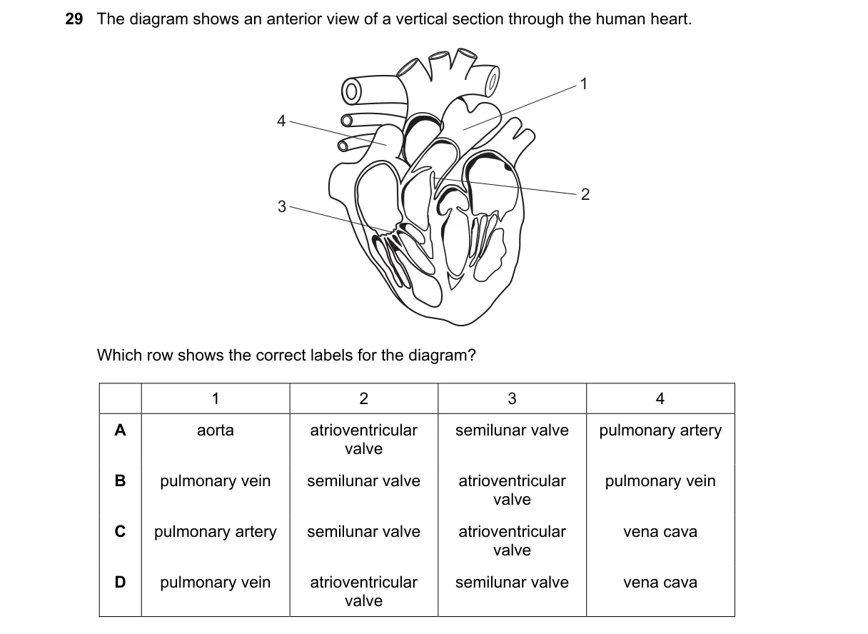 Question 29 from 9700/12/O/N/23