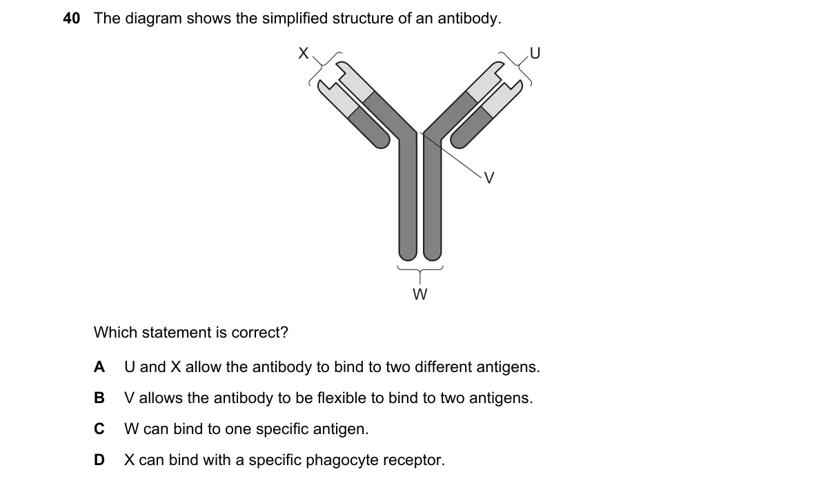 Question 40 from 9700/12/O/N/23