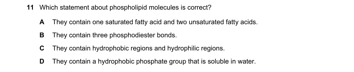 Question 11 from 9700/13/O/N/23