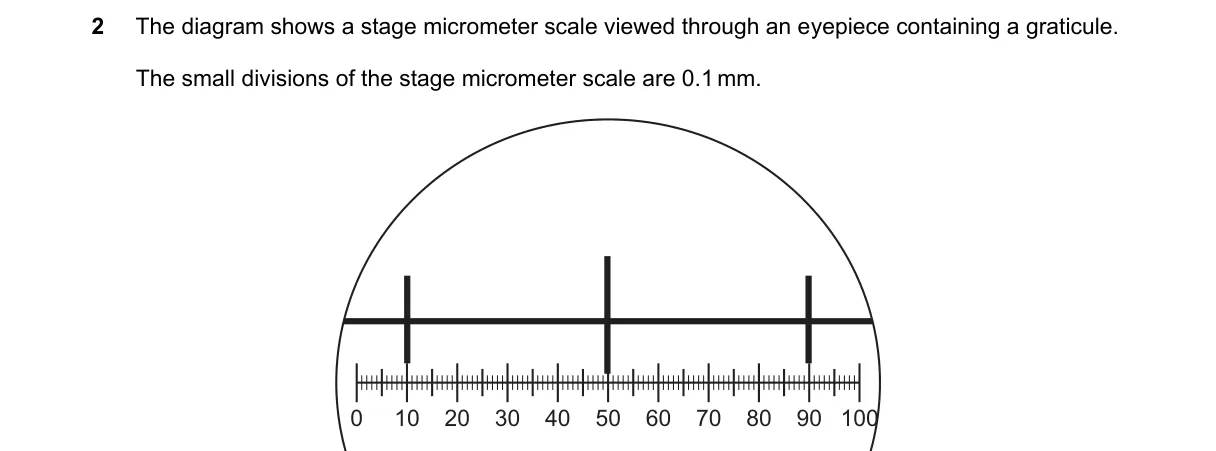 Question 2 from 9700/13/O/N/23