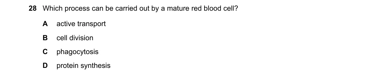 Question 28 from 9700/13/O/N/23