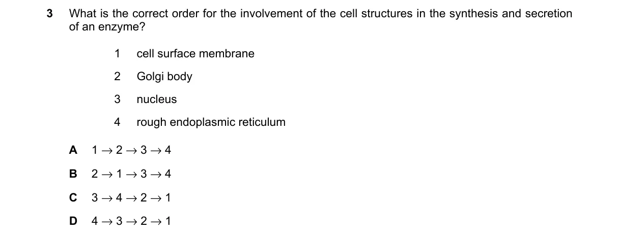 Question 3 from 9700/13/O/N/23