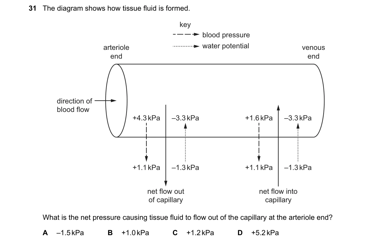 Question 31 from 9700/13/O/N/23