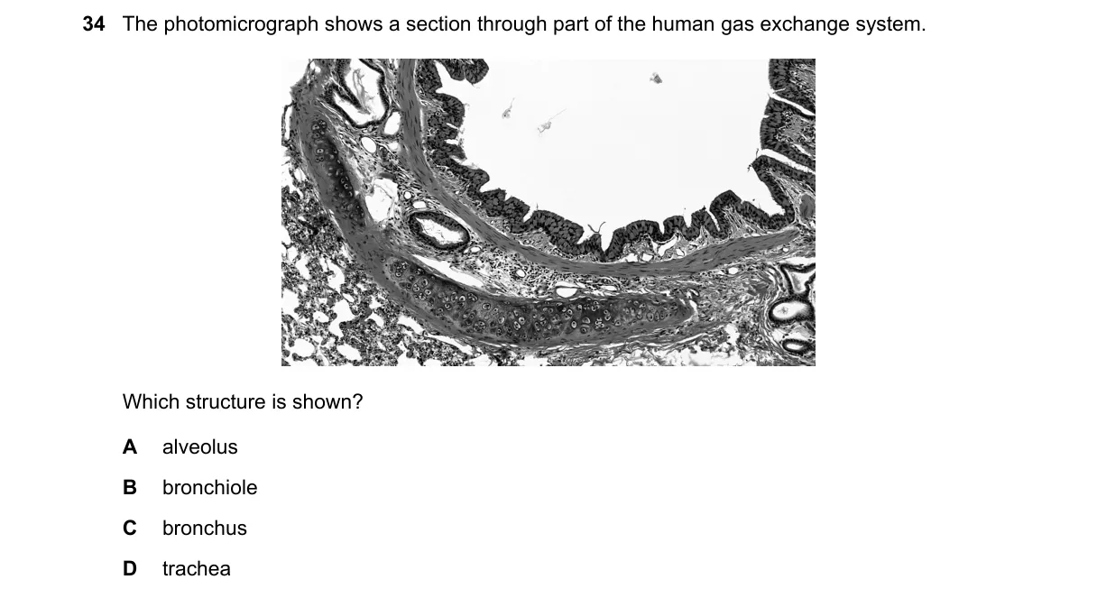 Question 34 from 9700/13/O/N/23