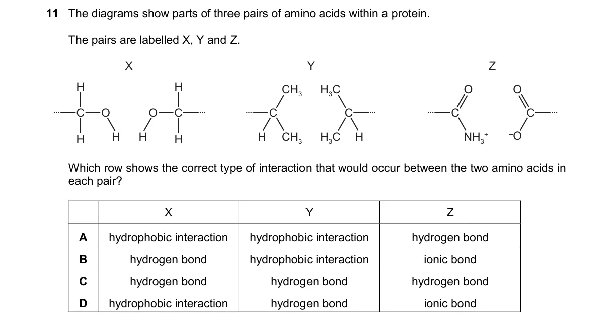 Question 11 from 9700/11/O/N/24