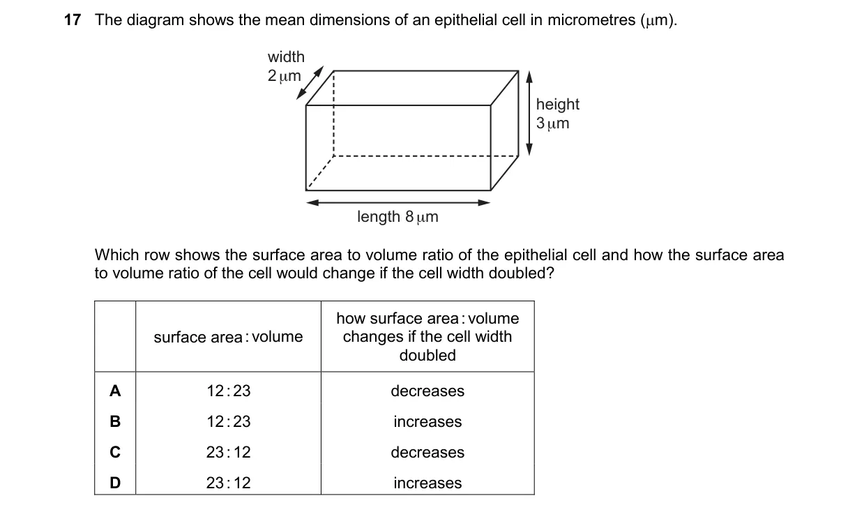 Question 17 from 9700/11/O/N/24
