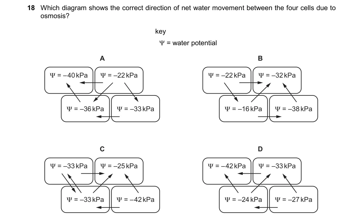 Question 18 from 9700/11/O/N/24