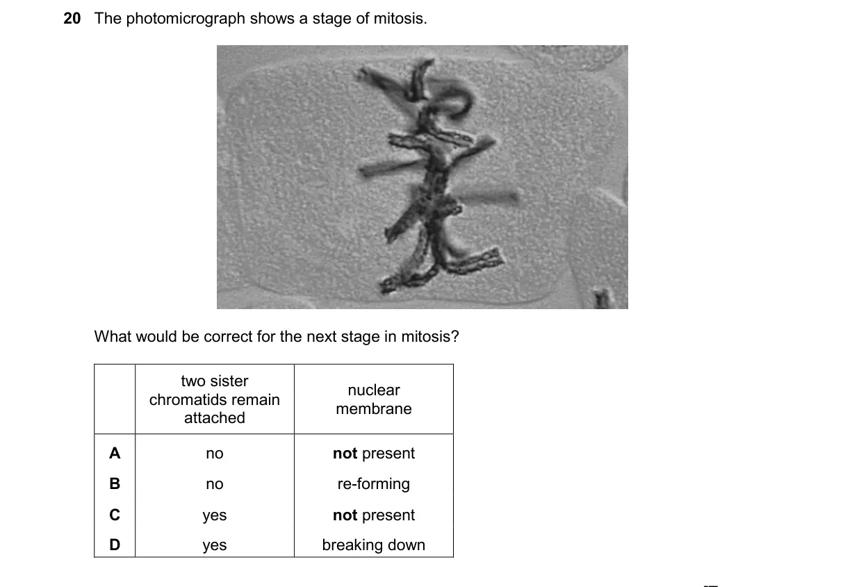 Question 20 from 9700/11/O/N/24
