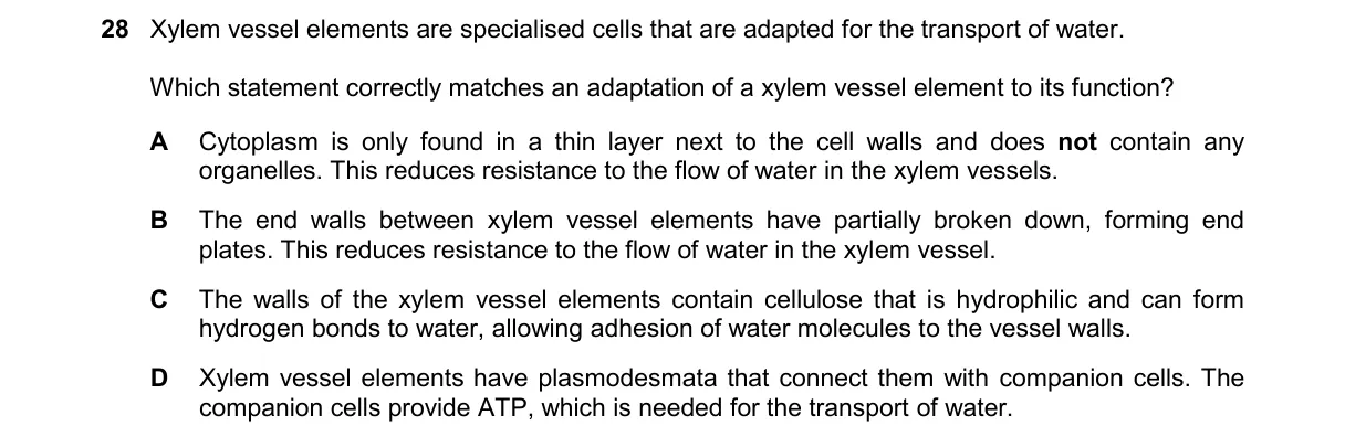 Question 28 from 9700/11/O/N/24