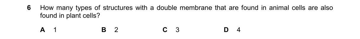 Question 6 from 9700/11/O/N/24