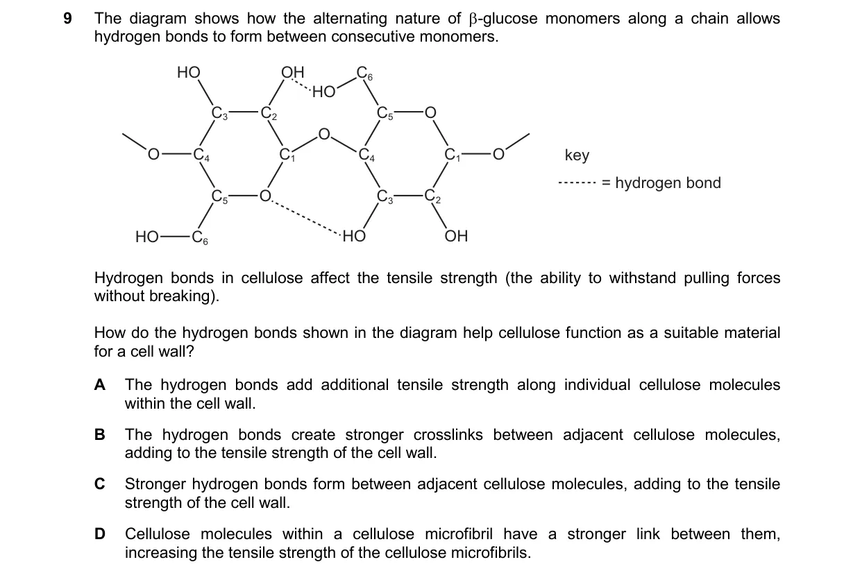 Question 9 from 9700/11/O/N/24